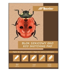 Leniar Skicár Lienka 160g/m², 30 listov - hnedý papier