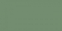 Faber-Castell Polychromos - jednotlivé farby - 172 / arktická zelená