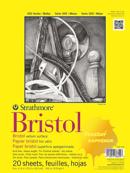 Strathmore Bristol vellum, s300, Skicák 270 g/m², 20 listov