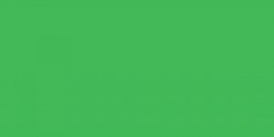 Faber-Castell Polychromos - jednotlivé farby - 112 / zelená