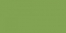Faber-Castell A. Dürer - jednotlivé farby - 168 / zemná zelená