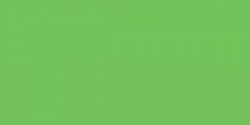 Faber-Castell Polychromos - jednotlivé farby - 166 / trávová zeleň