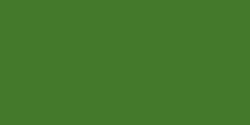 Faber-Castell Polychromos - umelecké pastelky - jednotlivé farby - 167 / permanent olivová 