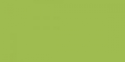 Faber-Castell Polychromos - jednotlivé farby - 170 / májová zeleň