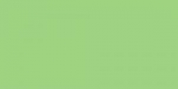 Faber-Castell Polychromos - jednotlivé farby - 171 / svetlo zelená