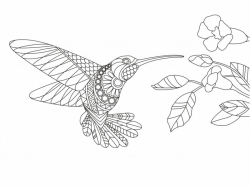 Šablóna na pieskovanie - Kolibrík