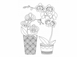 Šablóna na pieskovanie - Orchidea