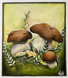 Venkovánky - Vladislava Schafferhans