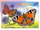 MFP Motýle - omaľovánka pre deti